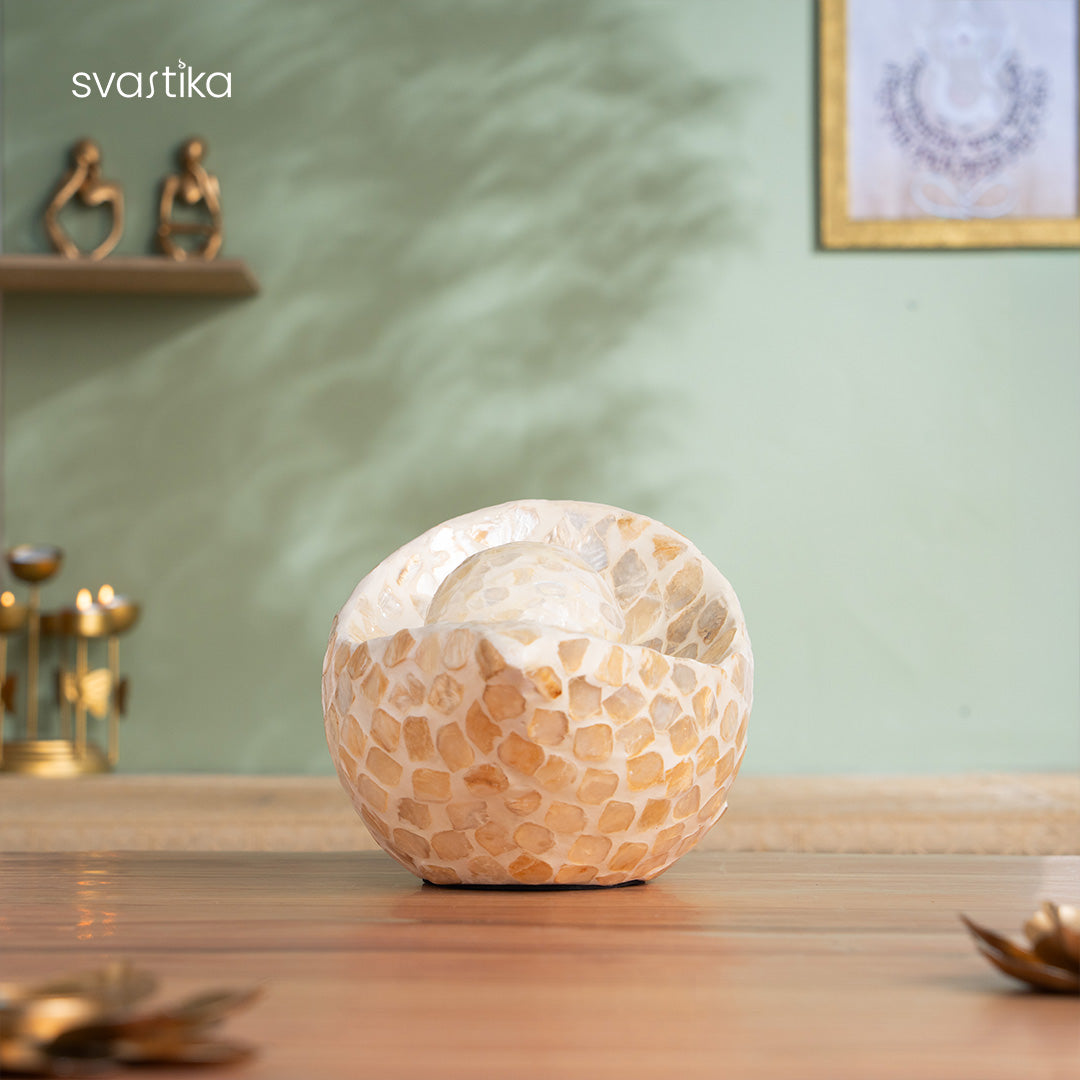 Luxury Artistic Conch Shell for Home Decor