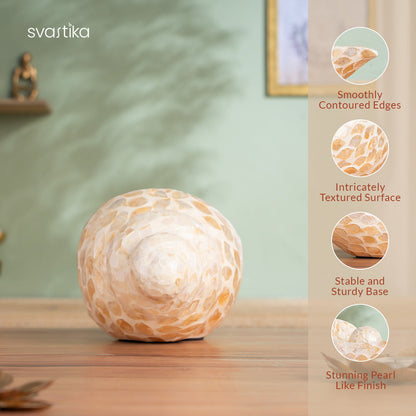 Luxury Artistic Conch Shell for Home Decor