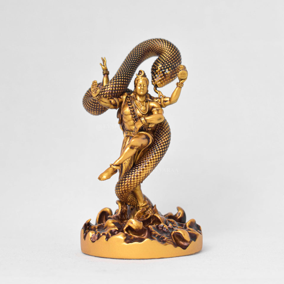 Mystical Shiva