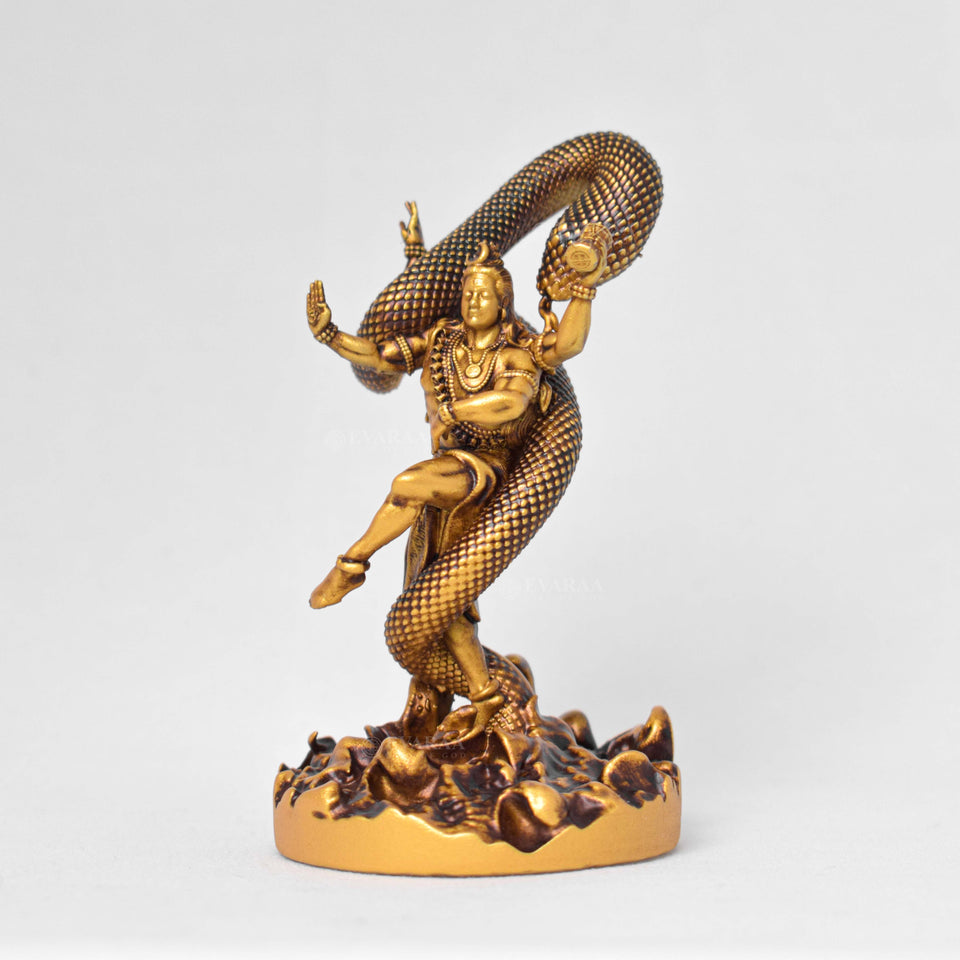 Mystical Shiva