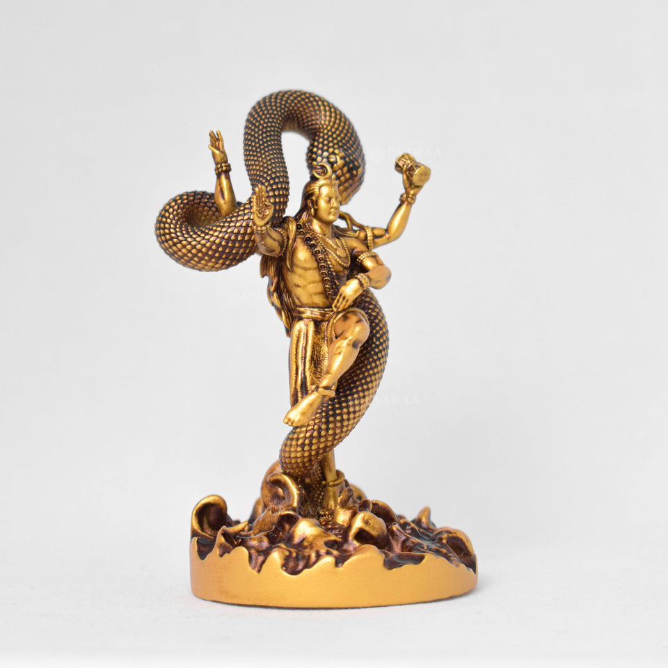 Mystical Shiva