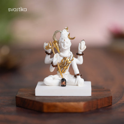 Mahadev Idol in Deep Meditation