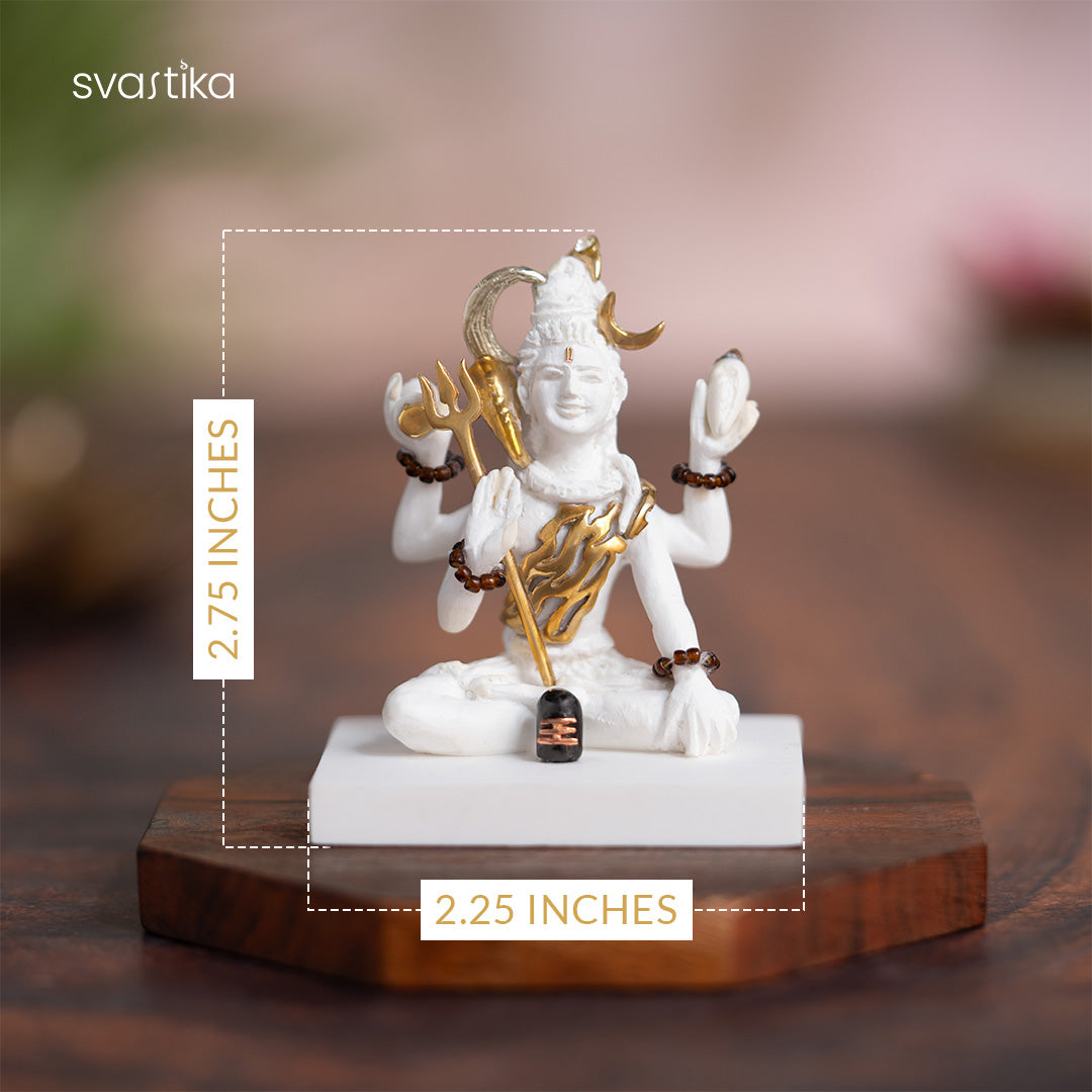 Mahadev Idol in Deep Meditation