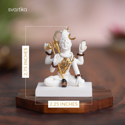 Mahadev Idol in Deep Meditation