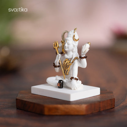 Mahadev Idol in Deep Meditation