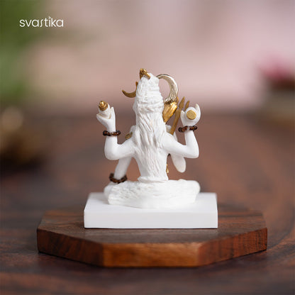 Mahadev Idol in Deep Meditation