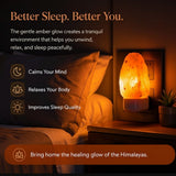 Natural Plug-In Himalayan Salt Lamp