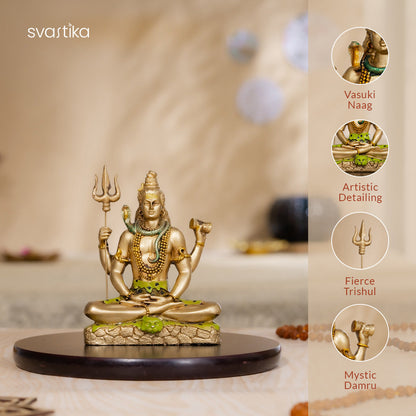 Lord Shiva Dhyana Mudra Antique Murti