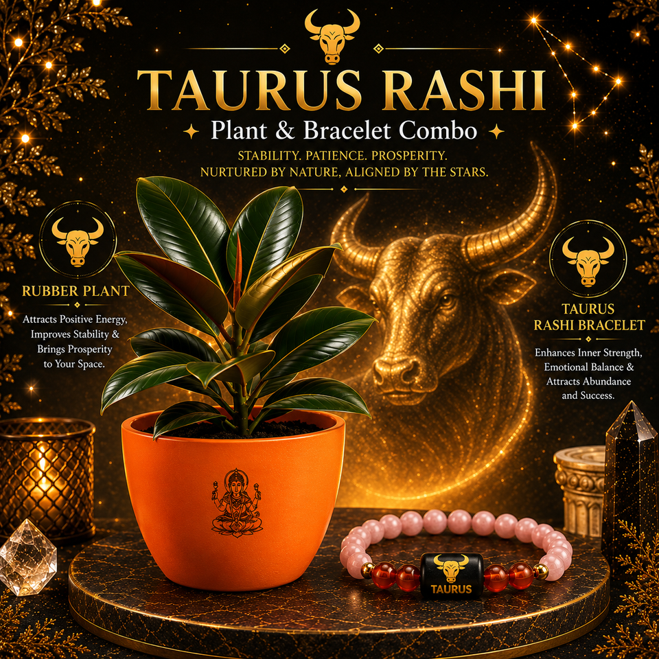 Taurus Evergreen Combo – Rubber Plant & Zodiac Bracelet