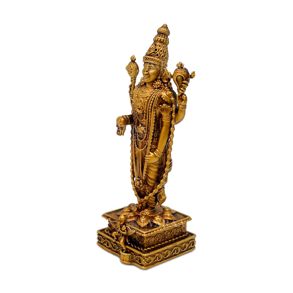 Lord Venkateshwar Balaji