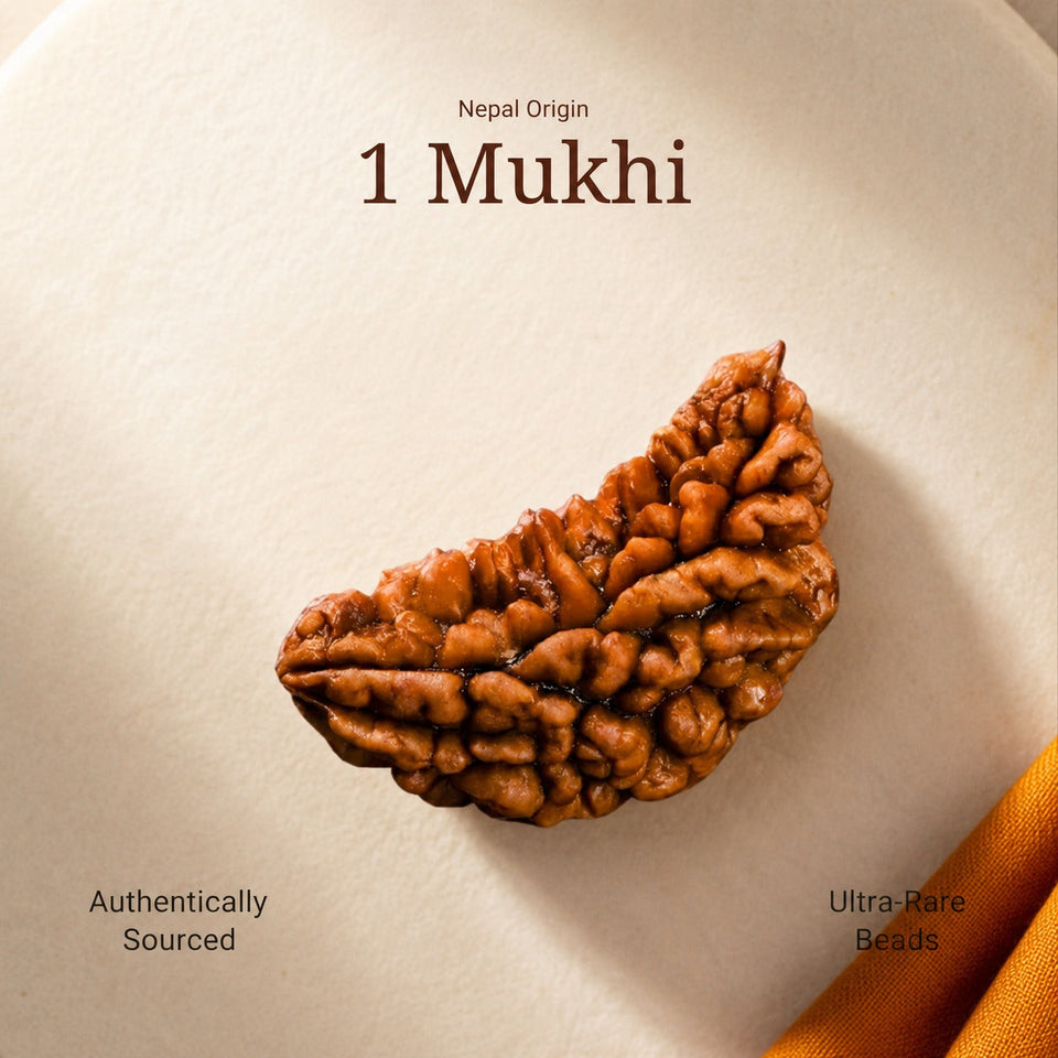 1 Mukhi Rudraksha |Nepal Origin | Lab Certified