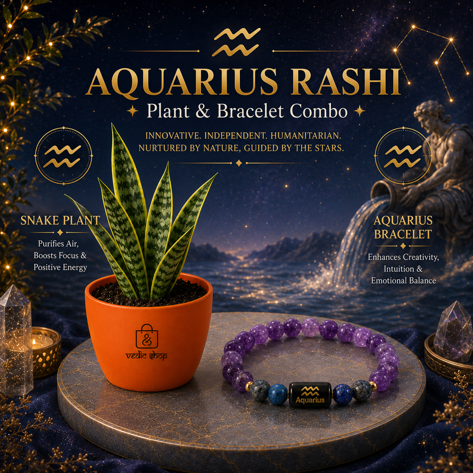 Aquarius Sacred Snake Plant Combo