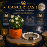 Cancer Moonlight Bloom Combo