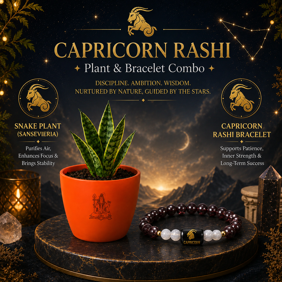 Capricorn Growth & Prosperity Combo – Snake Plant & Zodiac Bracelet