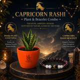 Capricorn Growth & Prosperity Combo – Snake Plant & Zodiac Bracelet