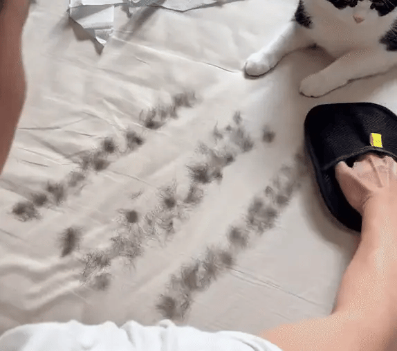 Pet Hair Remover Glove for Dogs & Cats