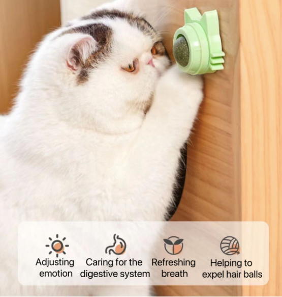 Catnip Wall Treat Ball for Cats (Pack of 2)
