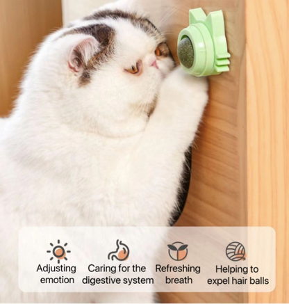 Catnip Wall Treat Ball for Cats (Pack of 2)
