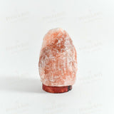 Himalayan Pink Salt Naturally Carved Glow Lamp