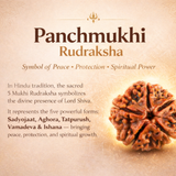 Golden Kirtimukh & 5 Mukhi Beads Combo