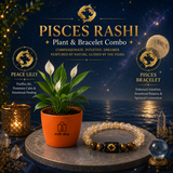 Pisces Sacred Peace Lily Combo