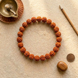 9 Mukhi Rudraksha Beads Bracelet