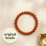 5 Mukhi Rudraksha Bracelet | LAB TESTED