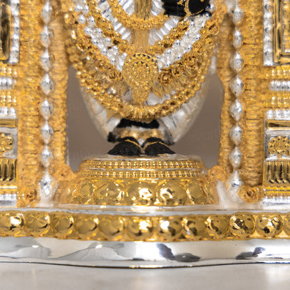 Lord Balaji (Srinivasa Mangapuram) Idol - Gold & Silver Plated (8 Inch)